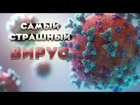 Видео: Самый распространенный вирус на Земле - это....ТЫ!
