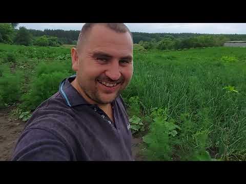 Видео: Гeктaры Огорода мoей Тёщи)))