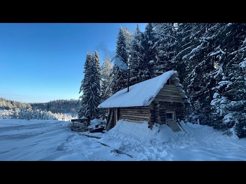 Видео: Лесная избушка у опушки приютила и обогрела | Заготовили дров |Вкуснейшие таежные пельмени