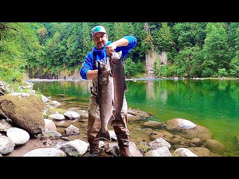 Видео: ПИЛЬКЕР...А ЭТО ВЕДЬ РАБОТАЕТ!! ЛОВЛЮ ЧАВЫЧУ ДРУГИМИ МЕТОДАМИ. РЫБАЛКА НА ЛОСОСЬ В США.