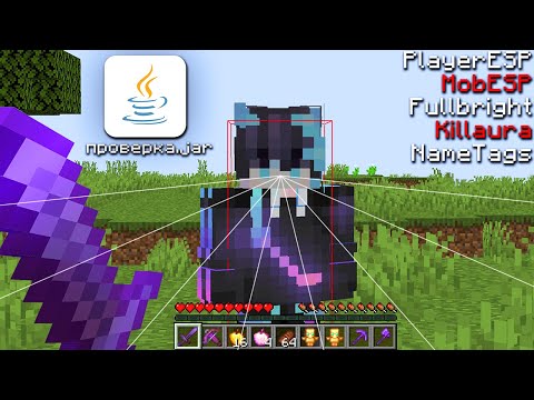 Видео: АДМИН ПОДКИНУЛ ЧИТЫ ОБЫЧНЫМ ИГРОКАМ ВО ВРЕМЯ ПРОВЕРКИ В Minecraft