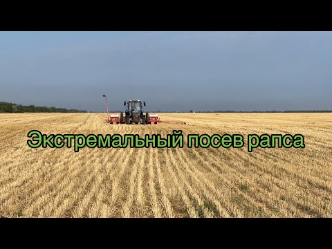 Видео: ШОК!!! Экстремальный посев озимого рапса в ранние сроки.