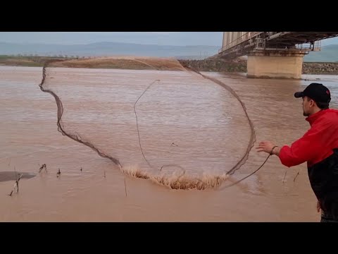 Видео: Рыбалка на кастинговой сетью на реке сурхоба н восеъ мохи гири бо накитка  BALIK
