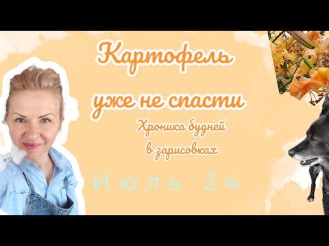 Видео: Домашние зарисовки жизни в Приморье