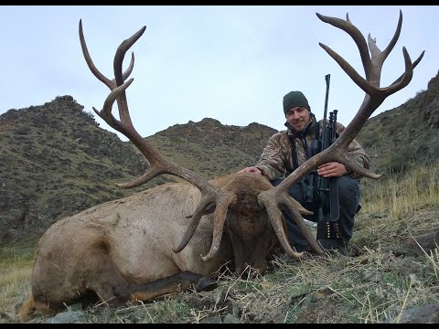 Видео: Maral and Ibex hunting in Kazakhstan 2015 - Охота на марала и козерога в Казахстане 2015