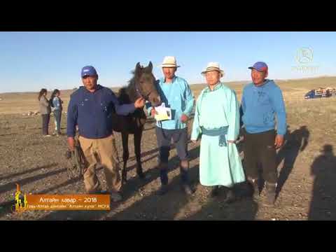 Видео: Алтайн хавар  2018 Говь алтай аймгийн Алтайн хүлэг МСУХ