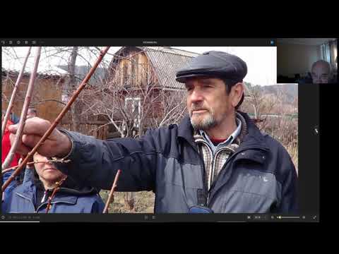 Видео: Начало лучшего сада в Сибири