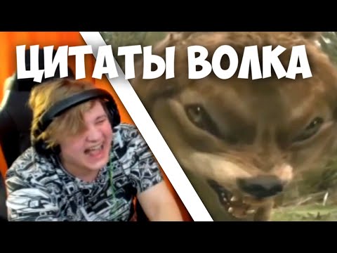 Видео: ПЯТЁРКА СМОТРИТ ЦИТАТЫ ВОЛКА | РЕАКЦИЯ ПЯТЁРКИ