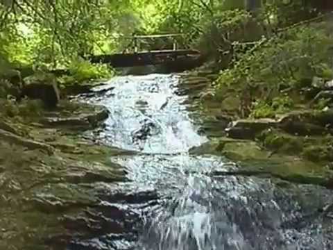 Видео: Смолян  Каньона на водопадите 27 07 2013