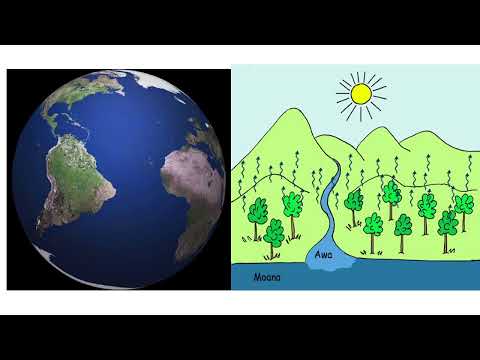 Видео: 3 сынып жаратылыстану Суды қайдан таба аламыз? 2 тоқсан №30 сабақ