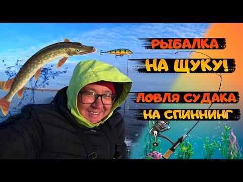 Видео: Спиннинг в октябре. Щука и судак. fishing. Рыбалка на спиннинг. Простая рыбалка. Судак на джиг 2021