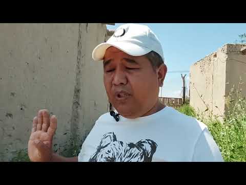 Видео: Үй неге тоқтап қалды? қашан басланады ? ким жәрдем береди!