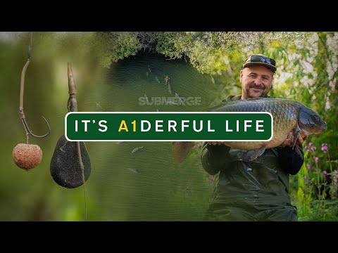 Видео: Под водой со Скоттом Ллойдом | The Noodle против The Hinge — что на самом деле происходит под пов...