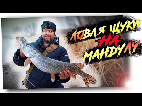Видео: Ловля щуки на мандулу