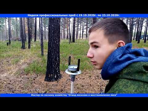 Видео: Отвод лесосеки и восстановление леса