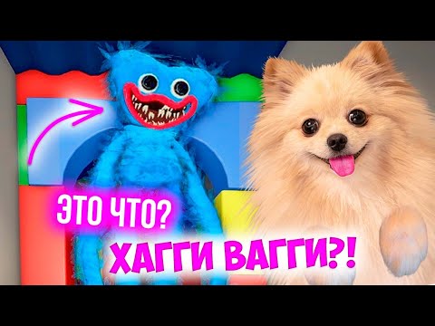 Видео: ЧТО ЗА ХАГГИ ВАГГИ В РОБЛОКС ? | БЕЗЗУБЫЙ ХАГГИ ВАГГИ ROBLOX - POPPYPLAYTIME