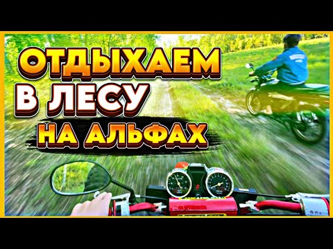 Видео: ЕДЕМ НА АЛЬФАХ ДО ЛЕСА/ЖАРИМ КАРТОШКУ!