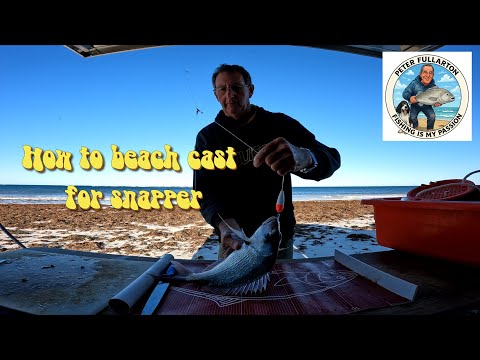 Видео: Как ловить люциана с берега.