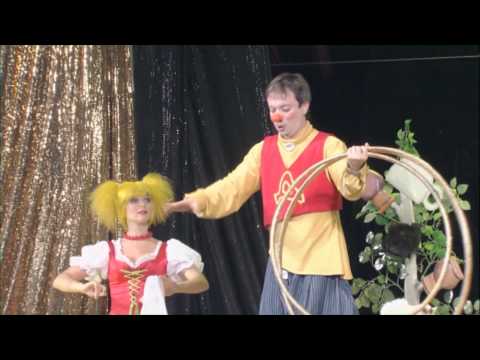 Видео: Любовь и кошки