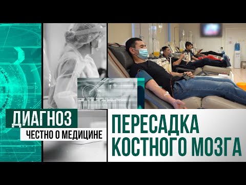 Видео: Лечение рака крови с помощью пересадки костного мозга | Диагноз