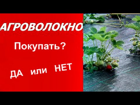 Видео: АГРОВОЛОКНО. ПОКУПАТЬ или НЕТ? Плюсы и минусы  агроволокна! КЛУБНИКА ОСЕНЬЮ