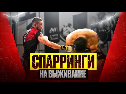 Видео: Спарринги на выживание. Тяжелый формат.