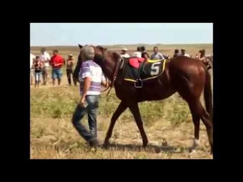 Видео: Hek Branicevo (ХЕК БРАНИЧЕВО)