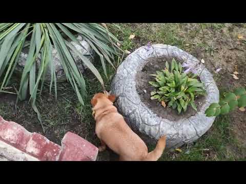 Видео: 18 ОКТЯБРЯ 2025 ГОДА