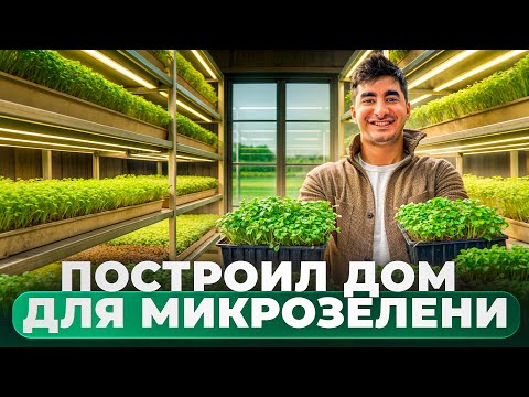 Видео: Построил дом для микрозелени. Бизнес с 5 тысяч рублей