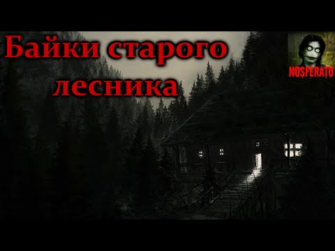 Видео: Байки старого лесника. Страшные истории на ночь. Страшилки на ночь