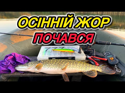 Видео: ✅ПОЧАЛОСЯ . Осінній ЖОР ЩУКИ !! Рибалка на щуку осінь 2025