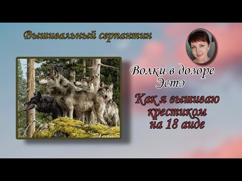 Видео: Как я вышиваю многоцветку крестиком на 18 аиде / Живой процесс вышивки/Котята