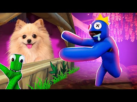 Видео: ЭТО ВАМ НЕ ХАГГИ ВАГГИ ! РАЗНОЦВЕТНЫЕ ДРУЗЬЯ ЛОВЯТ МЕНЯ В РОБЛОКС | Rainbow Friends ROBLOX