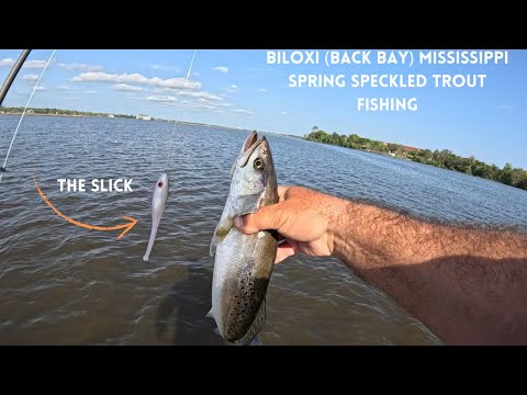 Видео: Весенняя Билокси (Бэк-Бэй), Миссисипи Пост Фронт, ловля крапчатой ​​форели