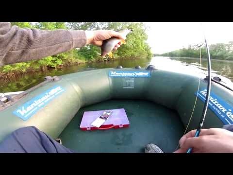 Видео: ОКУНЬ/  КРАСНОПЕРКА НА ПОПЛА ПОППЕР/ОКУНЬ НА КОСТРЕ В СОЛИ