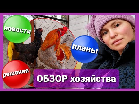 Видео: "В гостях" у ГОДУНОВСКОГО БРОЙЛЕРА). Всё о нашем хозяйстве. Осень 2020г. Бройлеры, несушки, индейка.