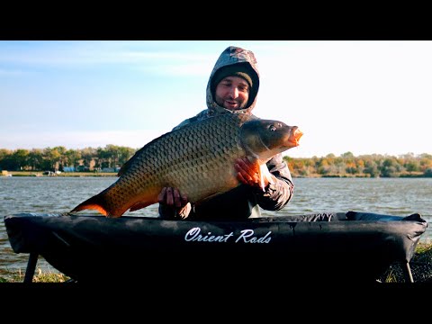 Видео: ЛОВЛЯ КАРПА.КРУТАЯ БАЛКА.VIP ТУРИСТ.PIRANHAS BAITS.TRINYTI BAITS.
