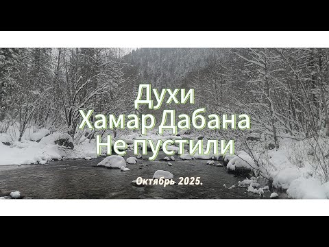 Видео: Духи Хамар Дабана не пустили.