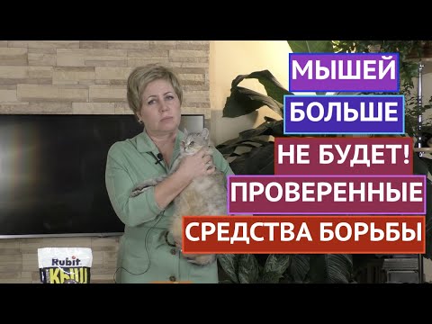 Видео: БОРЕМСЯ С МЫШАМИ/КРЫСАМИ/КАРБЫШАМИ! ЭФФЕКТИВНО И БЕЗОПАСНО!