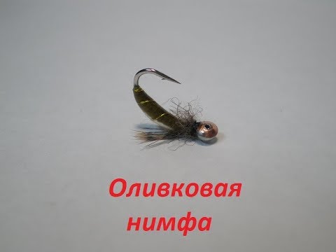 Видео: Оливковая нимфа