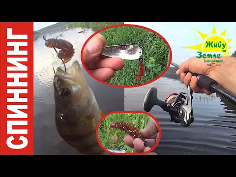 Видео: Окуни Гиганты! Такая Рыба Клюёт не Часто. А Тут Целая Стая!