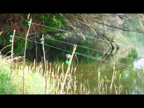 Видео: РЫБАЛКА НА ЗАКИДУШКИ. ТАКОГО Я НЕ ОЖИДАЛ. ДИКИЙ САЗАН НА ЖМЫХ, МАКУХУ.