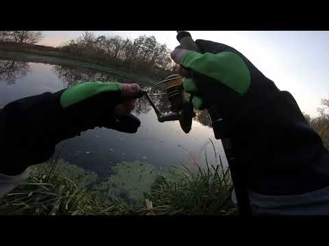 Видео: Где и как искать окуня в сентябре