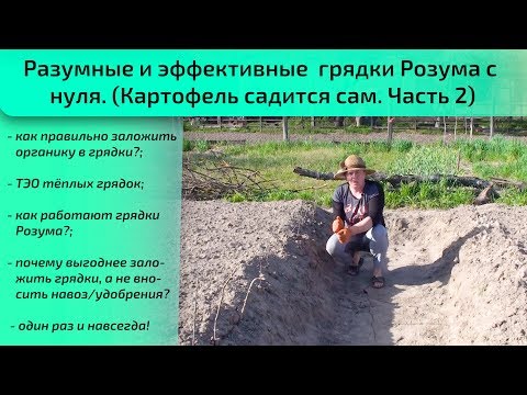 Видео: Разумные и эффективные  грядки Розума с нуля. (Картофель садится сам. Часть 2)