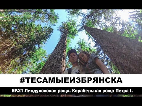 Видео: ЭПИЗОД 21. Линдуловская роща. Корабельный лес Петр I.