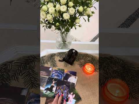 Видео: ⁉️ кто вас любит⁉️♥️♥️♥️