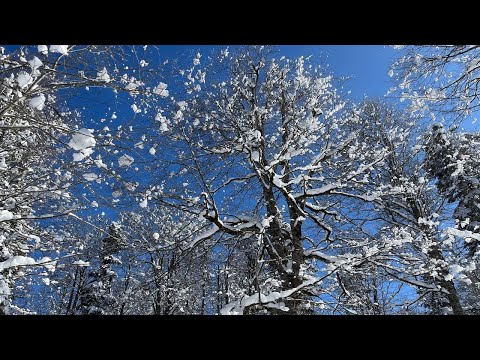 Видео: путешествие в лаго-наки