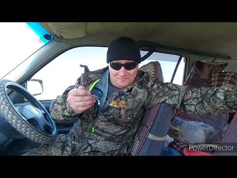 Видео: Грибов на Малайсары (нет) - 26.04.2024 г.