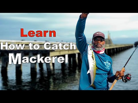 Видео: Рыбалка с пирса: узнайте, как ловить испанскую макрель на пирсе Skyway!