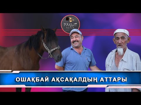 Видео: АТАҚТЫ САРЫБАЙ АТТЫ ТҰЛПАР ( Уакыт керек )